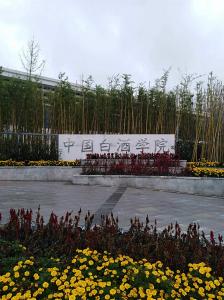 宜宾中国白酒学院